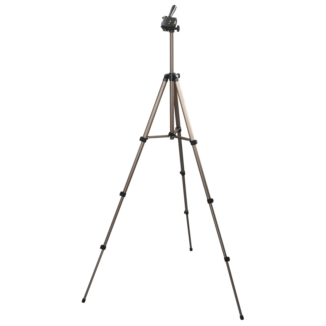 High-Res Image 5