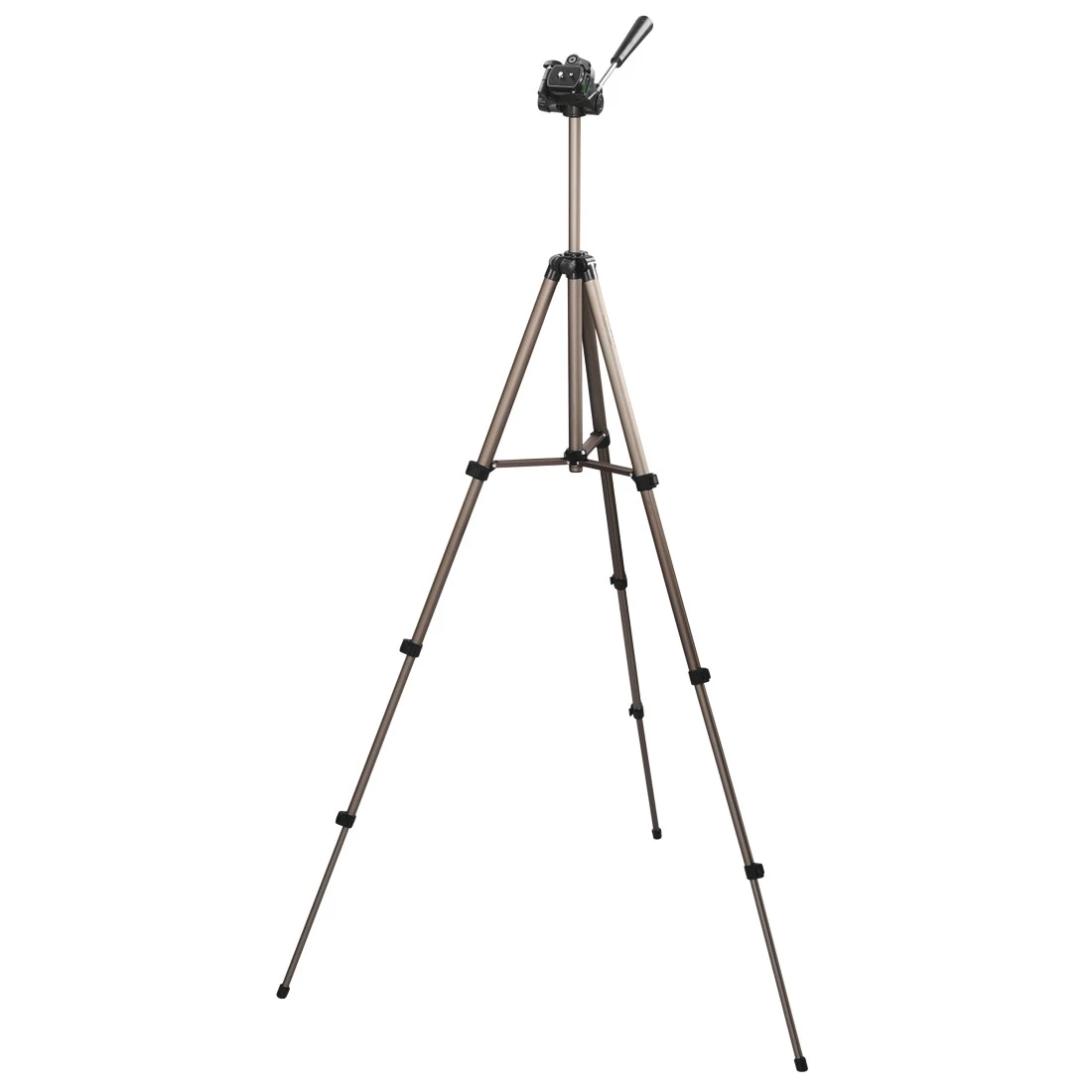 High-Res Image 6