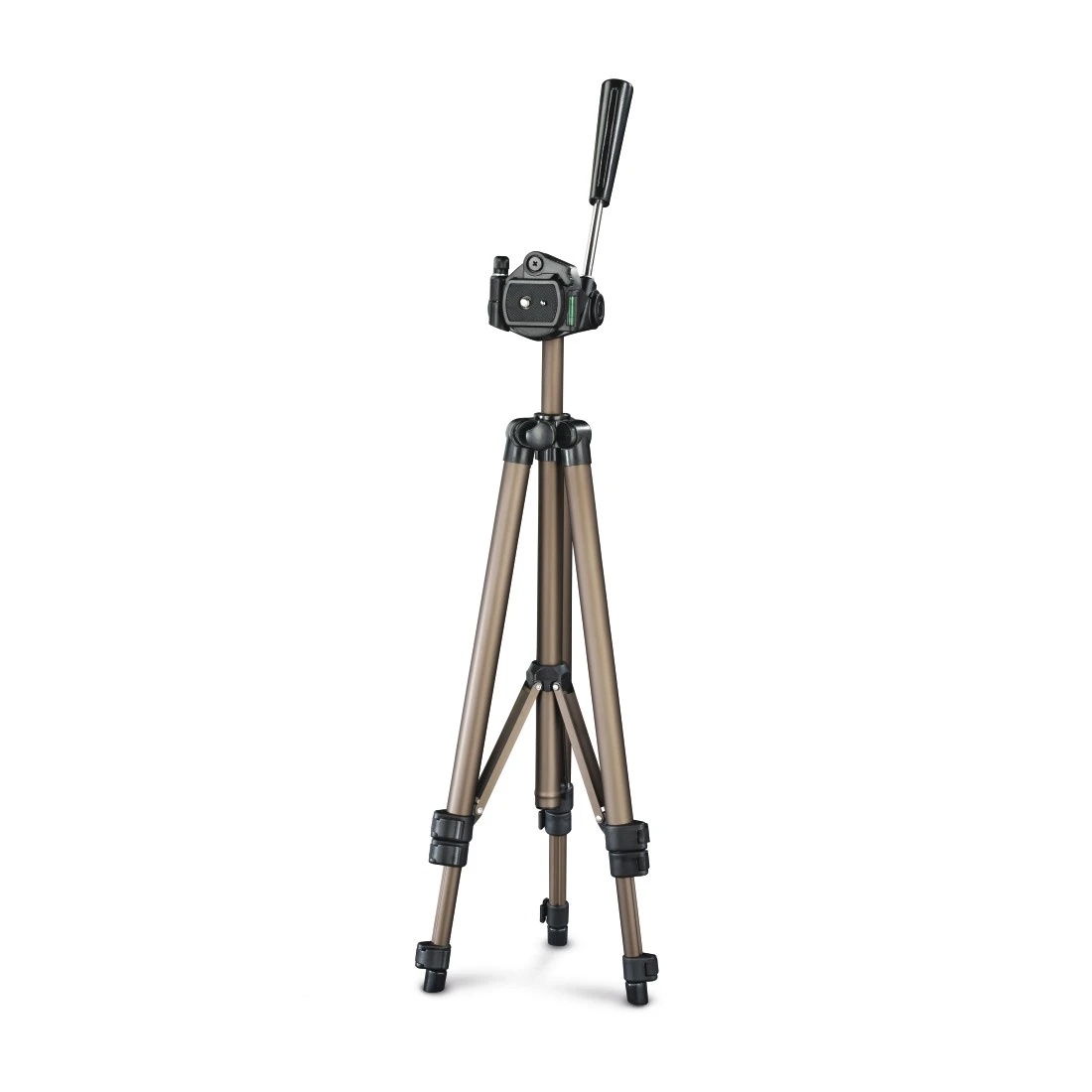 High-Res Image 7