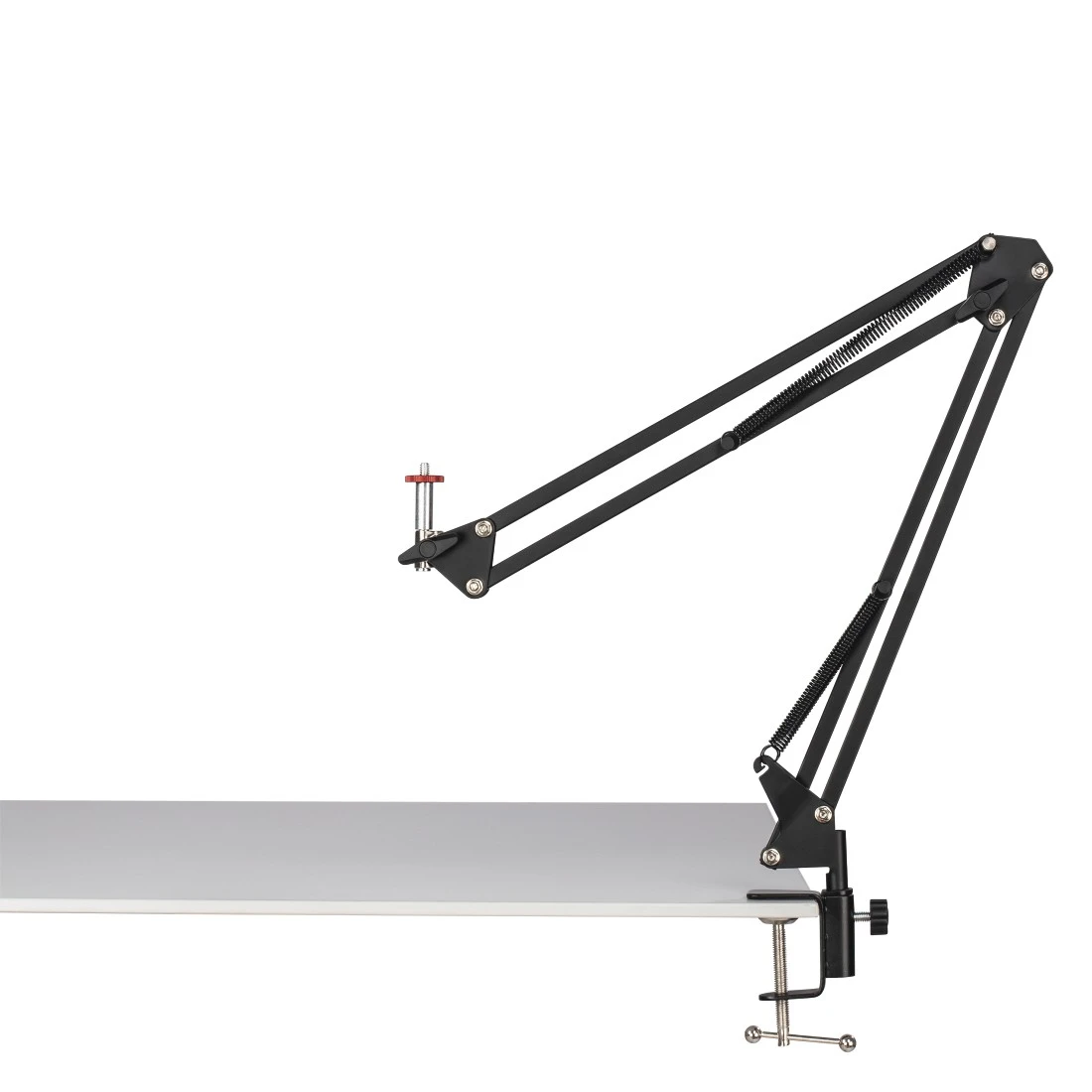 High-Res Image4