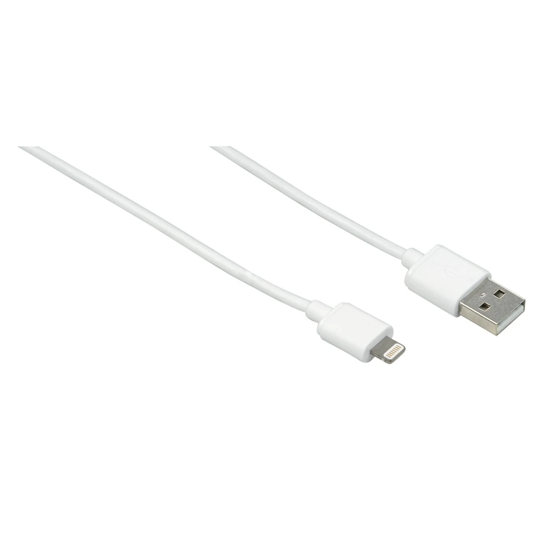 High-Res Image 2