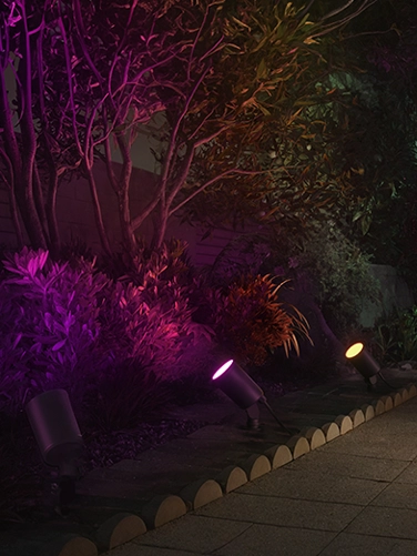 Three spotlights illuminate a bush next to a path at night in many colours.